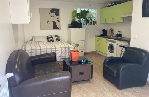 Le Plateau Apartment | EQUIPPED STUDIO WITH GARDEN