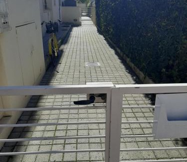 Pontedera Apartment | Era House