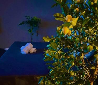 Zollberg Apartment | Erholung im Privaten SPA