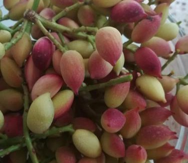 Agia Marina Apartment | Eri Studios