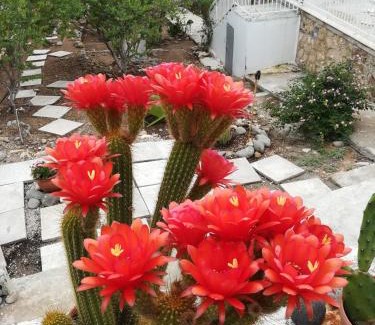 Agia Marina Apartment | Eri Studios