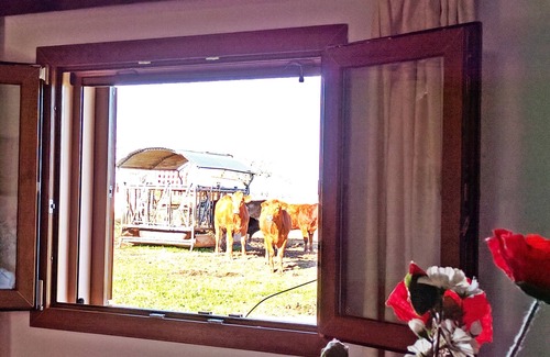 Campos Cottage | ES GALLICANT NEAR PLAYA ES TRENC, CALÓ DES MORO AND BEST BEACHES IN MALLORCA