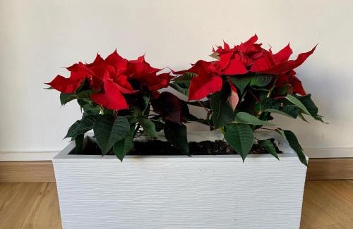 Belsunce Apartment | Escale St Charles - 150m de la Gare, vue sur Notre-Dame de la Garde