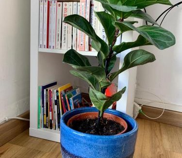 Belsunce Apartment | Escale St Charles - 150m de la Gare, vue sur Notre-Dame de la Garde