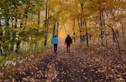 Clitherall House | Escape to Nature and Lake views Studio Style Rooms