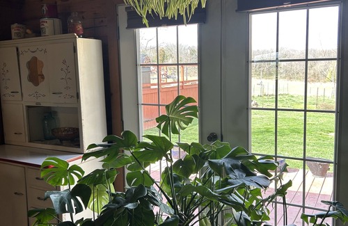 Bourbon Cabin | Escape to PARADISE on 10 sprawling acres in which to do anything you please!