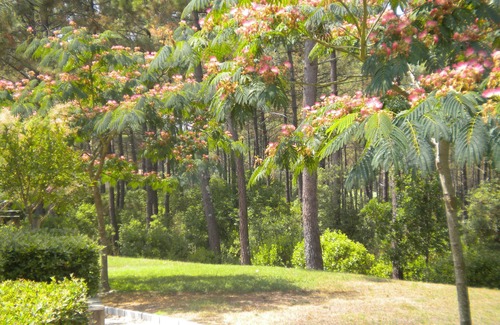 Lacanau-Ocean Villa | Escape to this beautiful setting for beaches, lakes, golf, walking, cycling.
