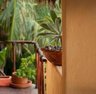 Ixtapa - Zihuatanejo Villa | Espuma Hotel - Adults Only