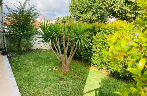 Arco Pintado Apartment | ESSENCYAHOMECoimbra