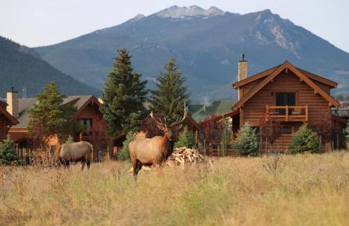 Estes Park House | Estes Escape - Jacuzzi, Indoor Outdoor Fireplace, Perfect Location!