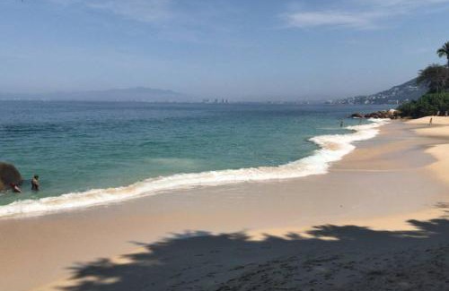 South Shore Hotel Area Apartment | Estudio Condominio, Girasol Sur, 510