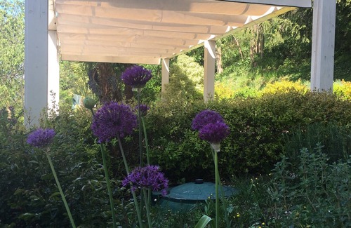 Montegrotto Terme Apartment | Euganean Hills Apartment