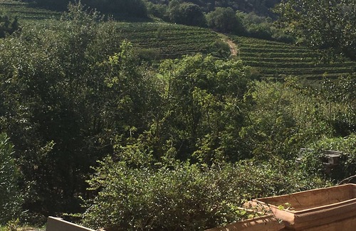 Montegrotto Terme Apartment | Euganean Hills Apartment