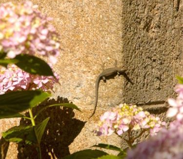 Coux-et-Bigaroque-Mouzens Other | Europe tents Camping Le Clou