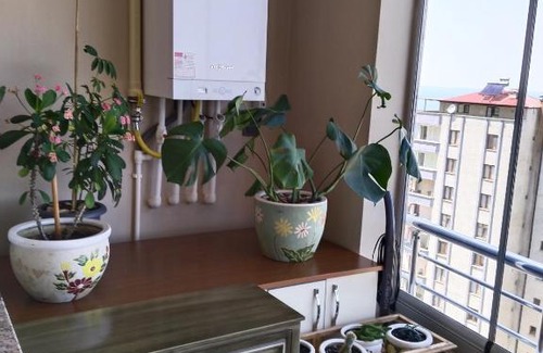 Trabzon Apartment | Ev