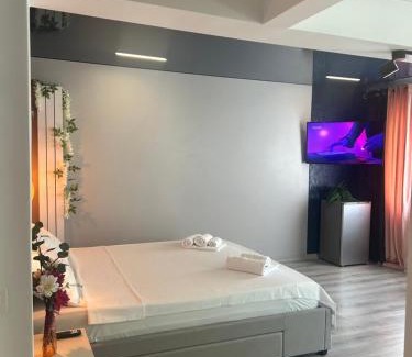 Braila Apartment | Eve's Place