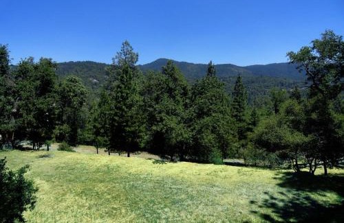 Oakhurst Cabin | Evergreen Haus