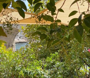 Endoume Bed & Breakfast | Exclusif - Urban Cabin vue mer les pieds dans l'eau