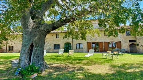 Poreta House | Exclusive Pool-open All Year-spoleto Biofarm-slps 8-village shops, bar1 km 4