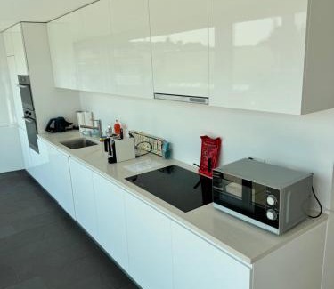 Basel City Centre Apartment | Exclusive Rooftop Duplex Penthouse - 200sqm - 280 Panoramic Views - Downtown