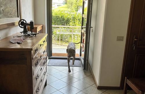 Bianzone House | Exclusive use cottage all on one floor, fenced garden. Animals welcome