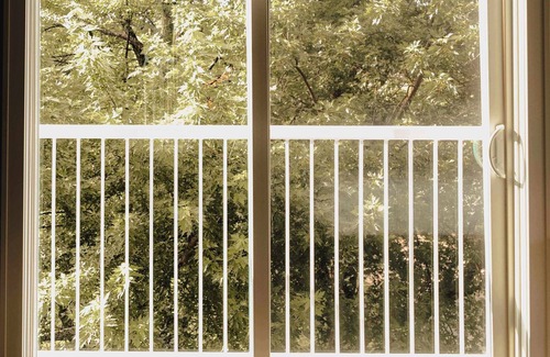Elk Rapids Apartment | Executive Suite - 1 King | Sleeper Sofa | Balcony