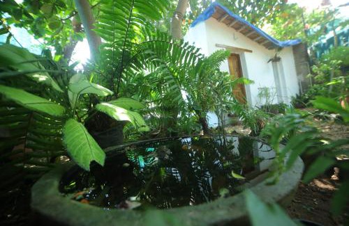 Kuilapalayam House | Exotic Garden Homestay