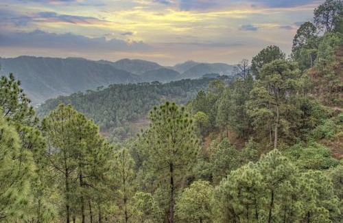 Kuthar Villa | Exotic Stays I The Corner House I Pet friendly & Serviced Villa I Open Air Lawn & Plunge Pool I Bonfire I Dance I Music I Full Party I Kasauli