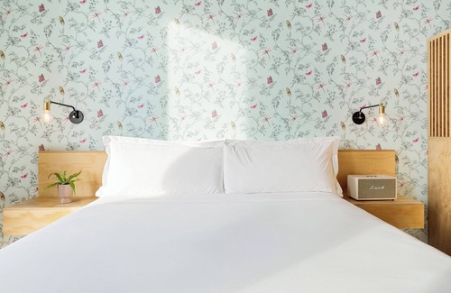 East Cesar Chavez Hotel | Experience Soothing Moments & Luxury! Dog-friendly, City View, Near Kealing Park