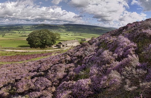 Skipton House | Experience unique wellbeing and nature-based activities on a 3000-acre Sanctuary