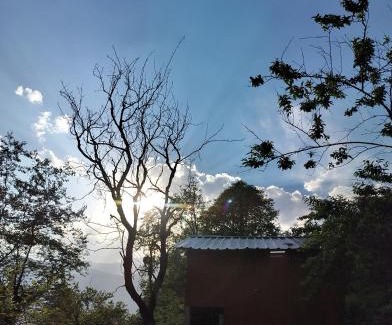 Manali Bed & Breakfast | Explore Cafe & Cabins