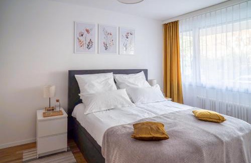 Basel City Centre Apartment | EXPO-Basel-CH Apt, Amazon Prime Video, WiFi, Coffee & Tee, Popcorn, Kitchen