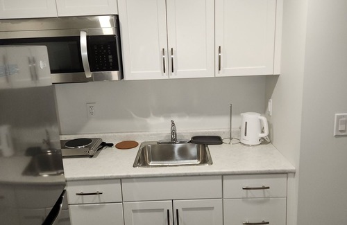 Winnipeg Apartment | Exquisitely Finished 1 Bedroom, 1 Bath Modern & Homely Suite.