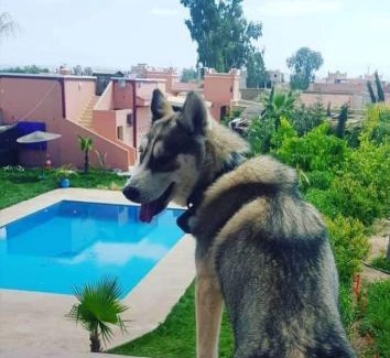 Ait Imour House | Férme