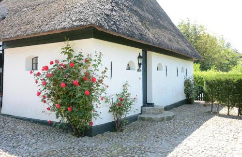 Midlum House | Föhrienhaus