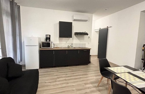 Arles-sur-Tech Apartment | F2 furnished with balcony, A/C, WIFI, pets allowed - 50m from the spa