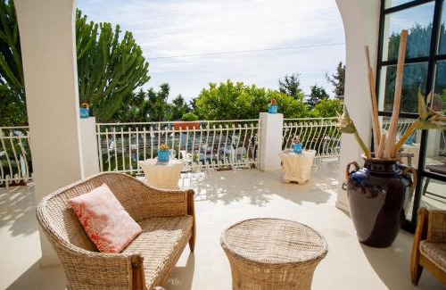 Marina di Palma Bed & Breakfast | Falco in Pietra