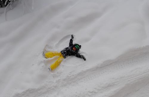 Maschl Apartment | Familien-Bauernhof Neumoar