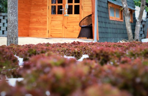 Cam Thanh House | Family Bungalow Pool & River @ CoCo-Farm Hoi An