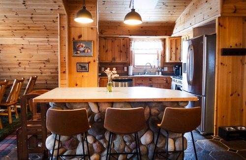 Petoskey House | Family Cabin - Indoor Hot Tub, Rec Room, Rock Wall, Indoor Swingset, Arcade
