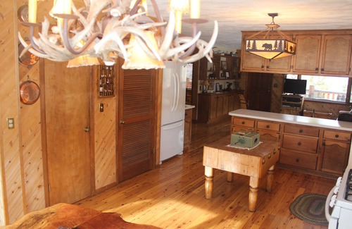 Little Valley Cabin | Family Friendly Property Nestled In An Aspen Grove