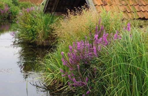 Gnarrenburg Apartment | Family-friendly vacation apartment in Worpswede with lots of nature, cranes & peat bogs
