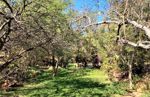 Bulawayo Apartment | Family Lodge in Natural African Bush - 2113