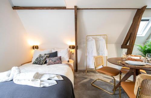 Schiedam Bed & Breakfast | Family penthouse 7-Minutes from Rotterdam Central Newly Build top floor terrace R5