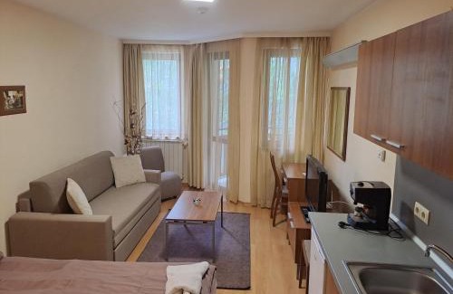 Borovets Apartment | Family Studio 302, Villa park