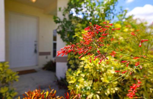 Burnt Store House | Family vacation, heated pool, wake up to enjoy the sunrise - Villa Pine Island