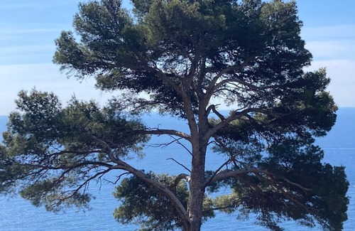 Bonneveine House | Family villa near the beaches