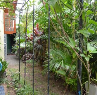 Ettukala House | Familyhouse