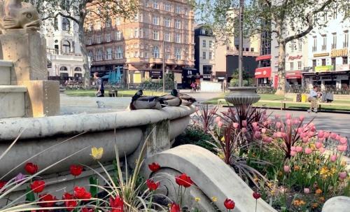 London City Centre House | Fantastic 1 Bedroom Flat Leicester Square West End