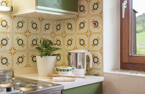 Fie allo Sciliar Apartment | Fantastic Apartment “2 Vikoler” with Mountain View, Wi-Fi & Garden